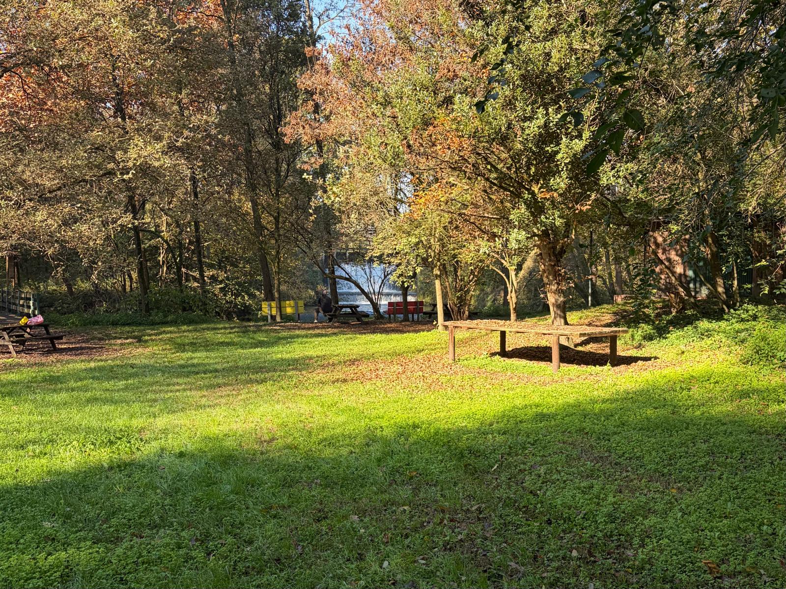 Parco del Laghetto — area picnic tra gli alberi