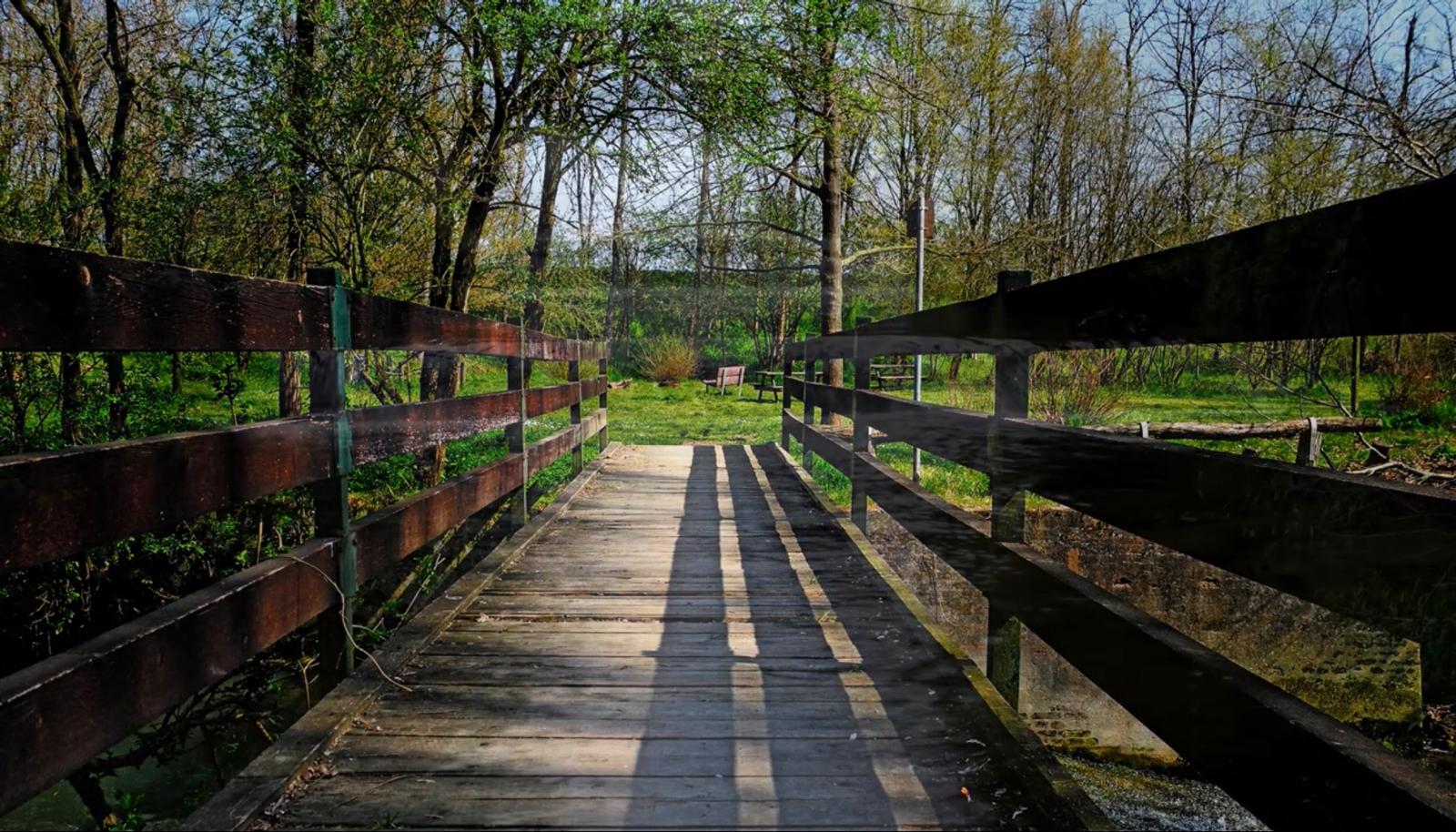 Ponte in legno nel parco del Laghetto