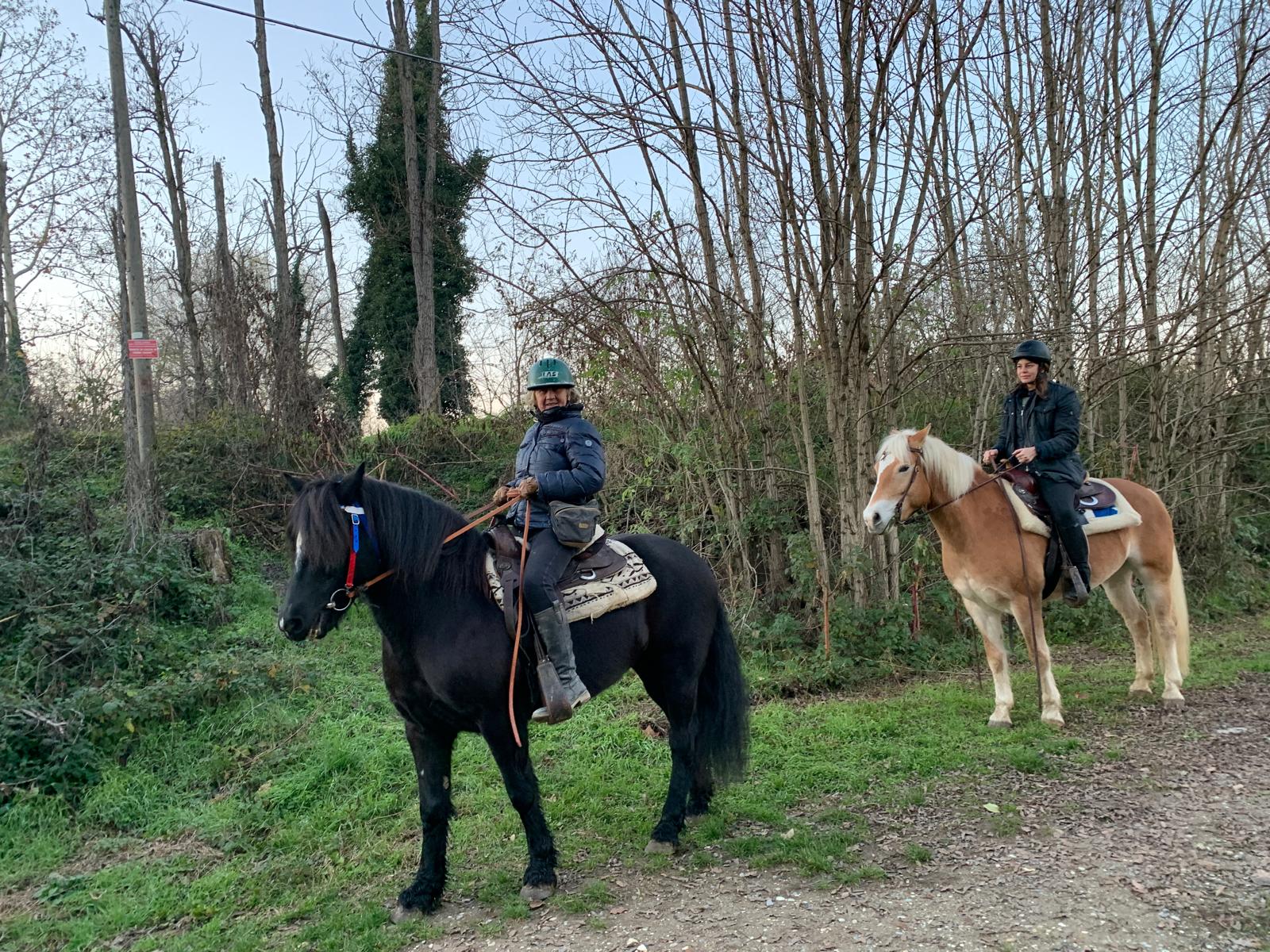 Passeggiata a cavallo lungo un sentiero del bosco
