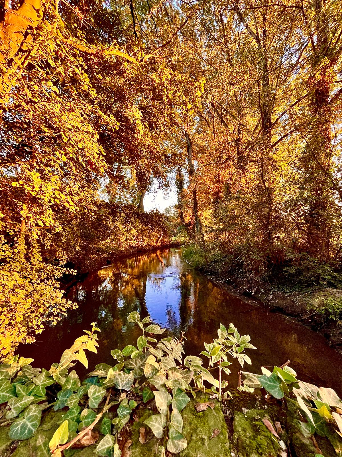Corso d'acqua autunnale tra i colori caldi degli alberi