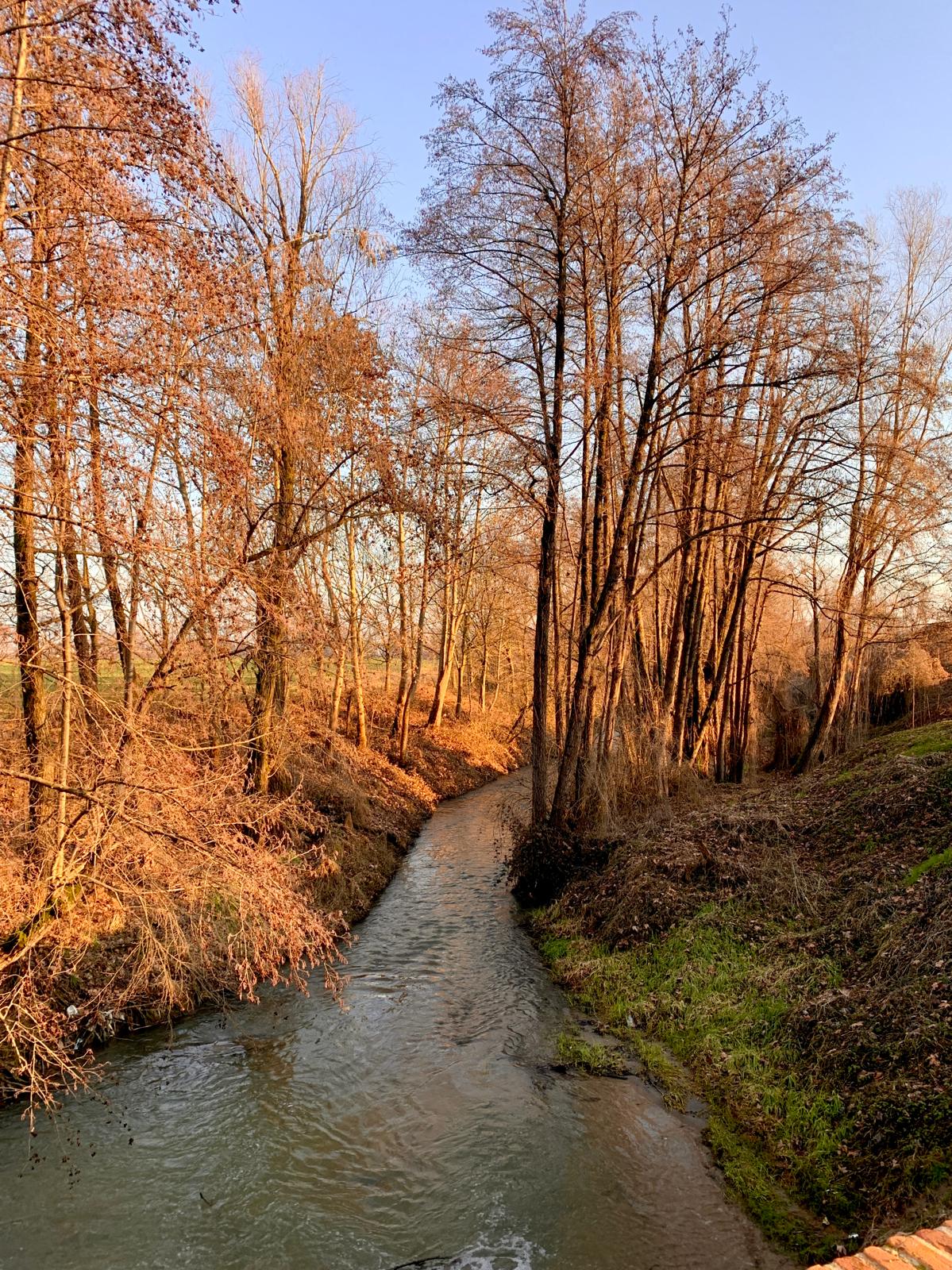 Roggia tra gli alberi al tramonto invernale
