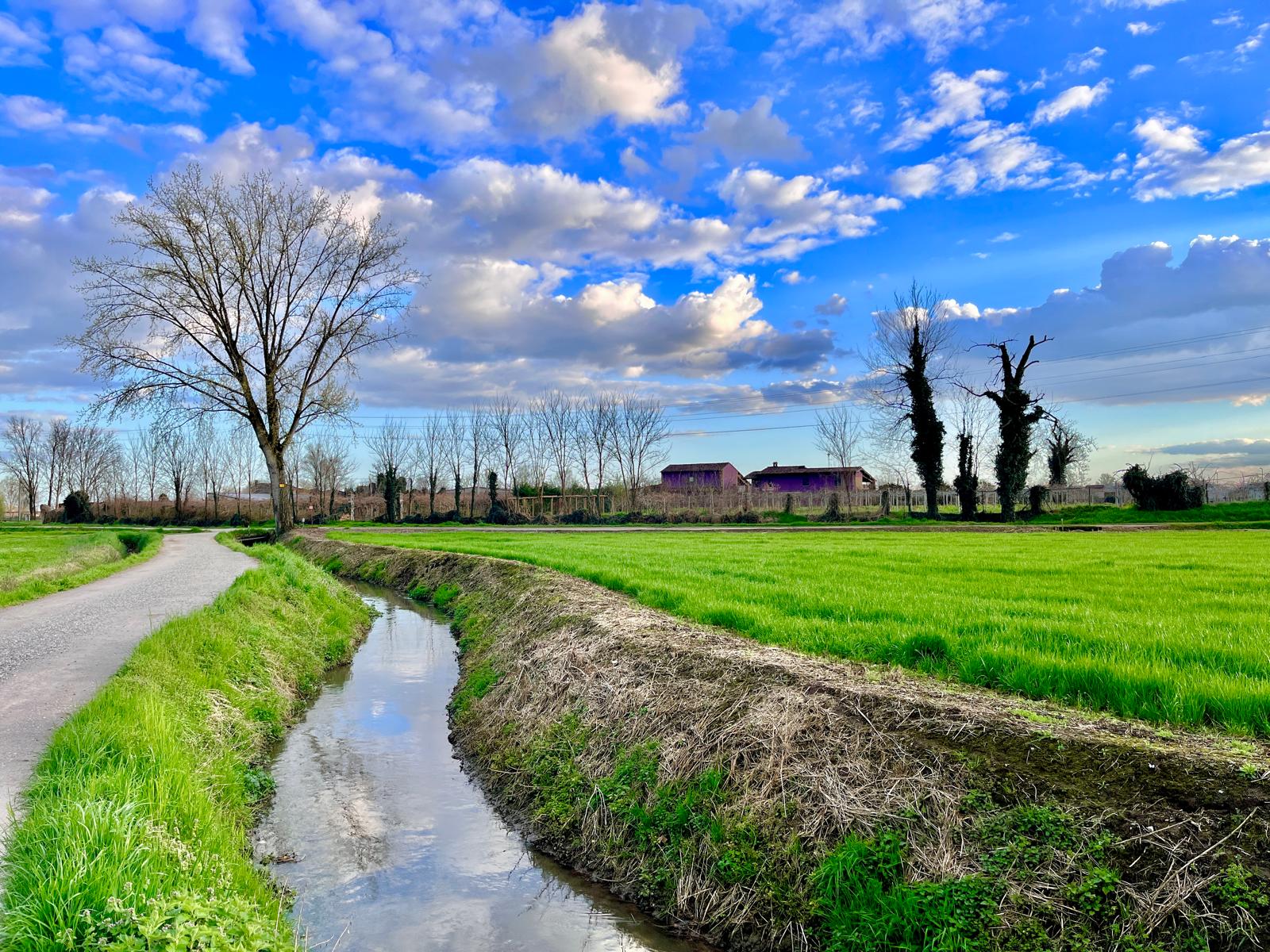 Sentiero di campagna lungo una roggia con nuvole primaverili