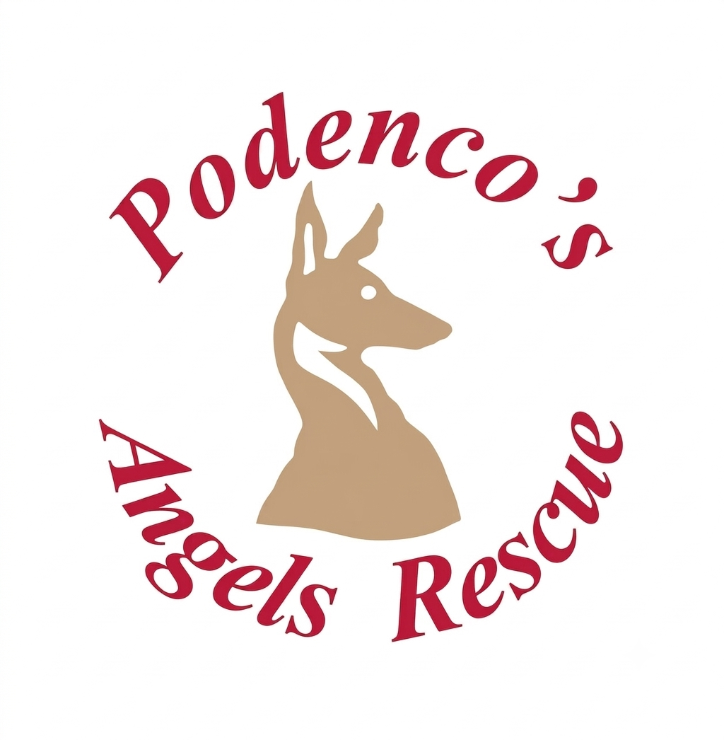 Logo Podenco's Angels Rescue