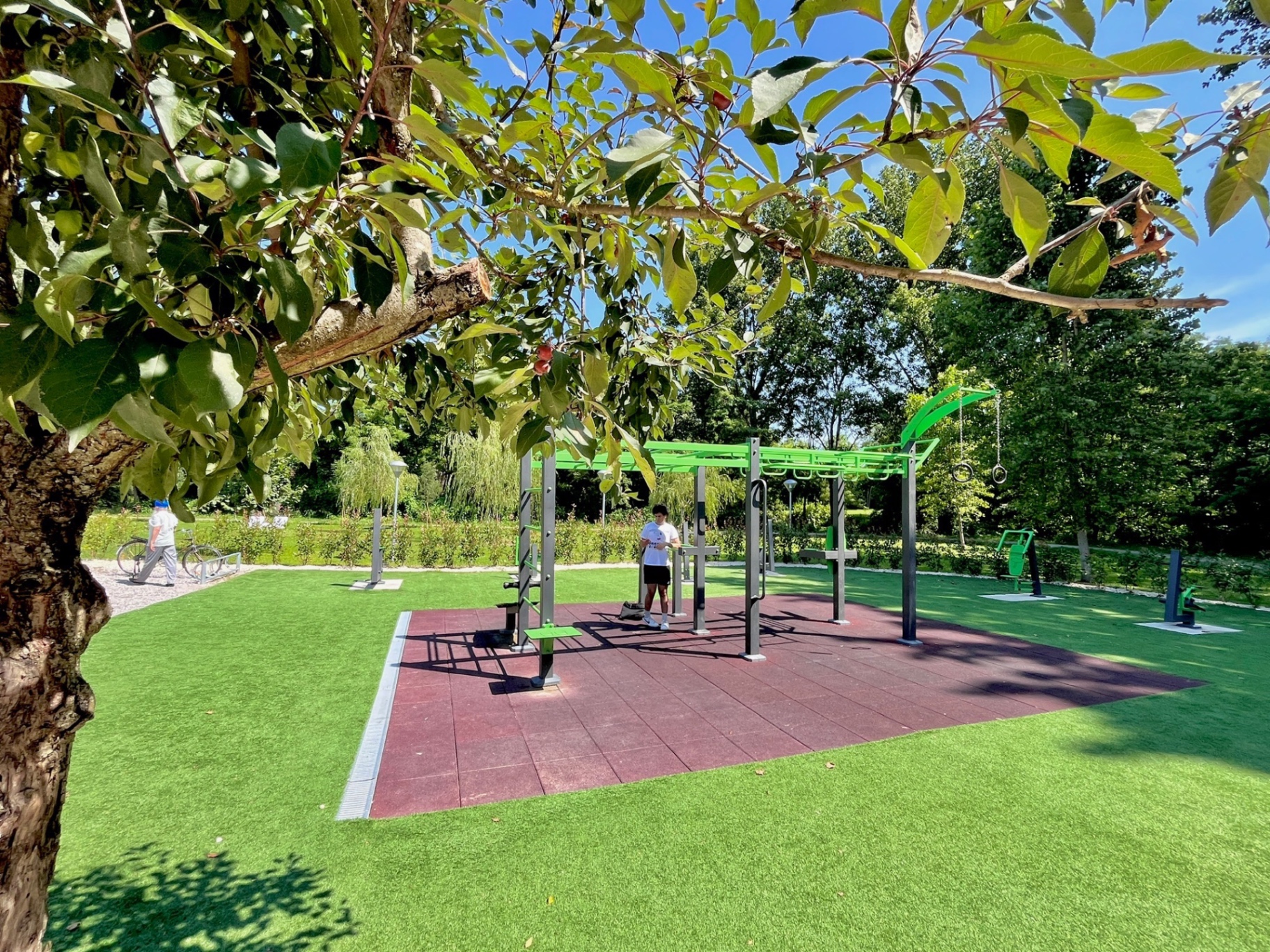 Area fitness all'aperto nel parco